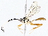  ( - BIOUG76552-D10)  @11 [ ] CreativeCommons - Attribution (2022) CBG Photography Group Centre for Biodiversity Genomics