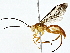  ( - BIOUG76553-D02)  @11 [ ] CreativeCommons - Attribution (2022) CBG Photography Group Centre for Biodiversity Genomics