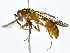  ( - BIOUG76553-D04)  @11 [ ] CreativeCommons - Attribution (2022) CBG Photography Group Centre for Biodiversity Genomics