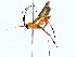  ( - BIOUG76554-A08)  @11 [ ] CreativeCommons - Attribution (2022) CBG Photography Group Centre for Biodiversity Genomics