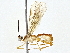 ( - BIOUG76554-B01)  @11 [ ] CreativeCommons - Attribution (2022) CBG Photography Group Centre for Biodiversity Genomics