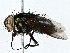  ( - BIOUG76555-A06)  @11 [ ] CreativeCommons - Attribution (2022) CBG Photography Group Centre for Biodiversity Genomics