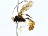  ( - BIOUG76555-C11)  @11 [ ] CreativeCommons - Attribution (2022) CBG Photography Group Centre for Biodiversity Genomics