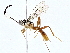  ( - BIOUG76555-C12)  @11 [ ] CreativeCommons - Attribution (2022) CBG Photography Group Centre for Biodiversity Genomics