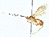  ( - BIOUG76555-D05)  @11 [ ] CreativeCommons - Attribution (2022) CBG Photography Group Centre for Biodiversity Genomics