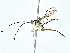  ( - BIOUG76555-D09)  @11 [ ] CreativeCommons - Attribution (2022) CBG Photography Group Centre for Biodiversity Genomics