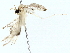  ( - BIOUG85479-A10)  @11 [ ] CreativeCommons - Attribution (2022) CBG Photography Group Centre for Biodiversity Genomics