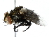  ( - BIOUG85479-C09)  @11 [ ] CreativeCommons - Attribution (2022) CBG Photography Group Centre for Biodiversity Genomics