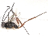  ( - BIOUG85479-F02)  @11 [ ] CreativeCommons - Attribution (2022) CBG Photography Group Centre for Biodiversity Genomics