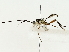  ( - BIOUG85481-B02)  @11 [ ] CreativeCommons - Attribution (2022) CBG Photography Group Centre for Biodiversity Genomics