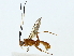  ( - BIOUG85481-B10)  @11 [ ] CreativeCommons - Attribution (2022) CBG Photography Group Centre for Biodiversity Genomics