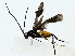  ( - BIOUG85481-C08)  @13 [ ] CreativeCommons - Attribution (2022) CBG Photography Group Centre for Biodiversity Genomics