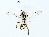  ( - BIOUG85490-G09)  @13 [ ] CreativeCommons - Attribution (2022) CBG Photography Group Centre for Biodiversity Genomics
