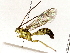  ( - BIOUG85490-H01)  @11 [ ] CreativeCommons - Attribution (2022) CBG Photography Group Centre for Biodiversity Genomics