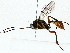 ( - BIOUG85490-H08)  @11 [ ] CreativeCommons - Attribution (2022) CBG Photography Group Centre for Biodiversity Genomics