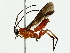  ( - BIOUG85469-B02)  @11 [ ] CreativeCommons - Attribution (2022) CBG Photography Group Centre for Biodiversity Genomics