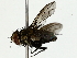  ( - BIOUG85469-D02)  @11 [ ] CreativeCommons - Attribution (2022) CBG Photography Group Centre for Biodiversity Genomics