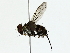  ( - BIOUG85469-D03)  @11 [ ] CreativeCommons - Attribution (2022) CBG Photography Group Centre for Biodiversity Genomics