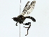  ( - BIOUG85469-D08)  @11 [ ] CreativeCommons - Attribution (2022) CBG Photography Group Centre for Biodiversity Genomics