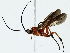 ( - BIOUG85470-E08)  @11 [ ] CreativeCommons - Attribution (2022) CBG Photography Group Centre for Biodiversity Genomics