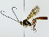  ( - BIOUG85470-E12)  @11 [ ] CreativeCommons - Attribution (2022) CBG Photography Group Centre for Biodiversity Genomics