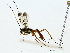  ( - BIOUG85482-D07)  @11 [ ] CreativeCommons - Attribution (2022) CBG Photography Group Centre for Biodiversity Genomics