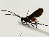  ( - BIOUG85482-E02)  @11 [ ] CreativeCommons - Attribution (2022) CBG Photography Group Centre for Biodiversity Genomics