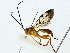  ( - BIOUG85483-A08)  @11 [ ] CreativeCommons - Attribution (2022) CBG Photography Group Centre for Biodiversity Genomics
