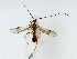  ( - BIOUG85483-A12)  @11 [ ] CreativeCommons - Attribution (2022) CBG Photography Group Centre for Biodiversity Genomics
