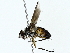  ( - BIOUG85491-B12)  @11 [ ] CreativeCommons - Attribution (2022) CBG Photography Group Centre for Biodiversity Genomics