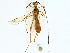  ( - BIOUG85491-F05)  @11 [ ] CreativeCommons - Attribution (2022) CBG Photography Group Centre for Biodiversity Genomics