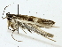  ( - BIOUG85492-D08)  @11 [ ] CreativeCommons - Attribution (2022) CBG Photography Group Centre for Biodiversity Genomics