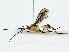  ( - BIOUG85492-F06)  @11 [ ] CreativeCommons - Attribution (2022) CBG Photography Group Centre for Biodiversity Genomics