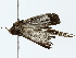  ( - BIOUG85493-C09)  @11 [ ] CreativeCommons - Attribution (2022) CBG Photography Group Centre for Biodiversity Genomics