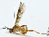  ( - BIOUG85493-F08)  @11 [ ] CreativeCommons - Attribution (2022) CBG Photography Group Centre for Biodiversity Genomics