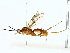  ( - BIOUG85509-F06)  @11 [ ] CreativeCommons - Attribution (2022) CBG Photography Group Centre for Biodiversity Genomics