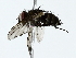  ( - BIOUG85510-E12)  @11 [ ] CreativeCommons - Attribution (2022) CBG Photography Group Centre for Biodiversity Genomics