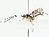  ( - BIOUG85511-A02)  @11 [ ] CreativeCommons - Attribution (2022) CBG Photography Group Centre for Biodiversity Genomics