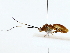  ( - BIOUG85511-G05)  @11 [ ] CreativeCommons - Attribution (2022) CBG Photography Group Centre for Biodiversity Genomics