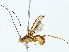  ( - BIOUG85512-E07)  @11 [ ] CreativeCommons - Attribution (2022) CBG Photography Group Centre for Biodiversity Genomics