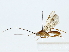  ( - BIOUG85512-E10)  @11 [ ] CreativeCommons - Attribution (2022) CBG Photography Group Centre for Biodiversity Genomics