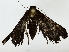  ( - BIOUG85512-H10)  @11 [ ] CreativeCommons - Attribution (2022) CBG Photography Group Centre for Biodiversity Genomics