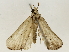  ( - BIOUG85483-F01)  @11 [ ] CreativeCommons - Attribution (2022) CBG Photography Group Centre for Biodiversity Genomics