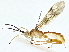  ( - BIOUG85484-D05)  @11 [ ] CreativeCommons - Attribution (2022) CBG Photography Group Centre for Biodiversity Genomics