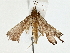  ( - BIOUG85484-E02)  @11 [ ] CreativeCommons - Attribution (2022) CBG Photography Group Centre for Biodiversity Genomics