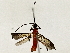  ( - BIOUG85484-H01)  @11 [ ] CreativeCommons - Attribution (2022) CBG Photography Group Centre for Biodiversity Genomics