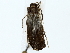  ( - BIOUG85494-B08)  @11 [ ] CreativeCommons - Attribution (2022) CBG Photography Group Centre for Biodiversity Genomics