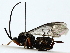  ( - BIOUG85495-E10)  @11 [ ] CreativeCommons - Attribution (2022) CBG Photography Group Centre for Biodiversity Genomics