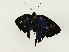  ( - BIOUG85513-A01)  @11 [ ] CreativeCommons - Attribution (2022) CBG Photography Group Centre for Biodiversity Genomics