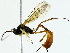  ( - BIOUG85514-A02)  @11 [ ] CreativeCommons - Attribution (2022) CBG Photography Group Centre for Biodiversity Genomics